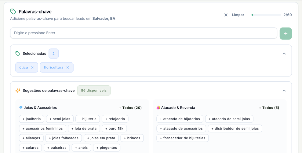 Etapa Palavras-chave com o campo para digitar, o contador 2 de 60, as palavras ótica e floricultura em Selecionadas e as sugestões por segmento